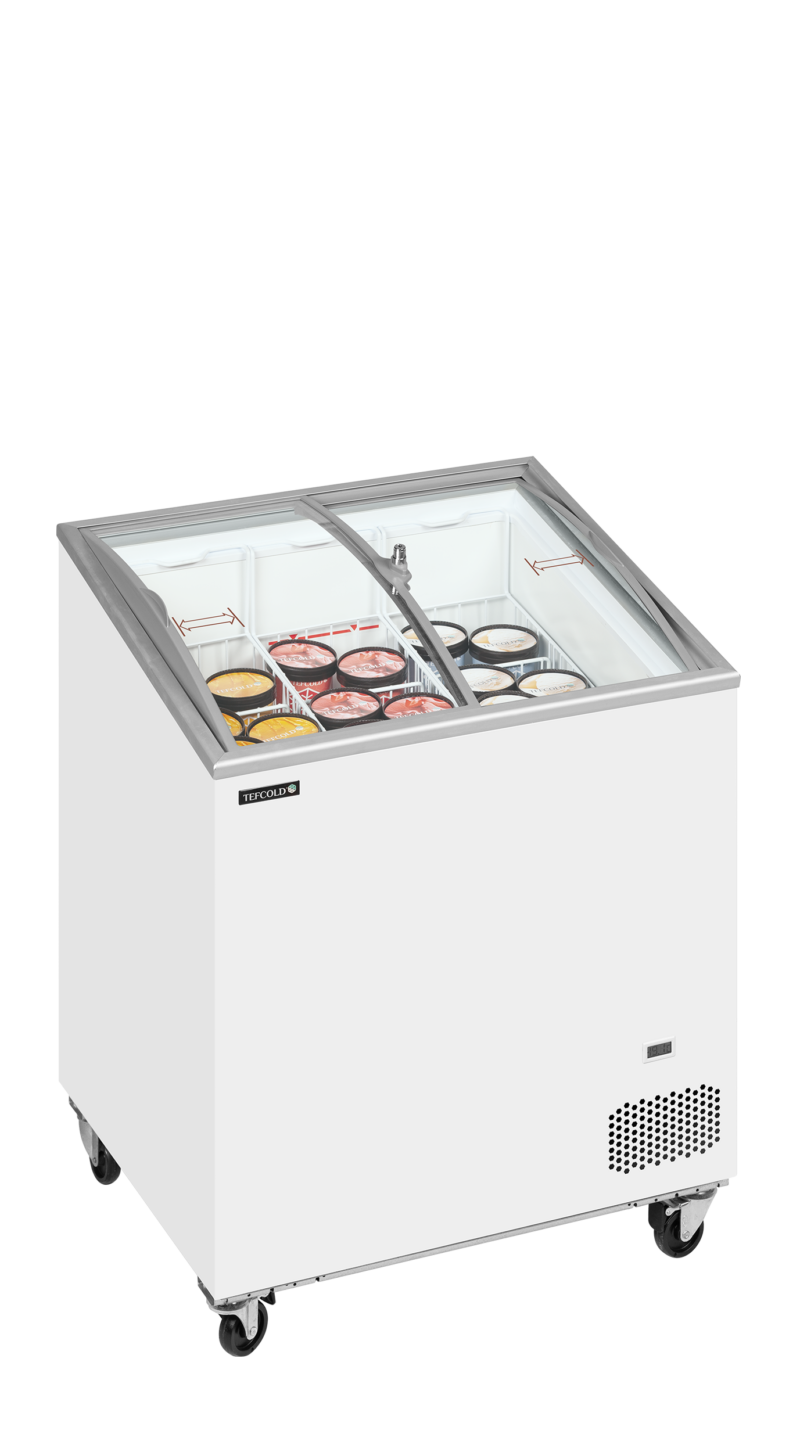 IC201SCEB - Image 2