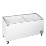 IC551SCEB