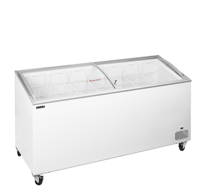 IC551SCEB